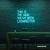This Is The Sign You’ve Been Looking For neon sign in mint green for modern wall decor and motivational rooms.
